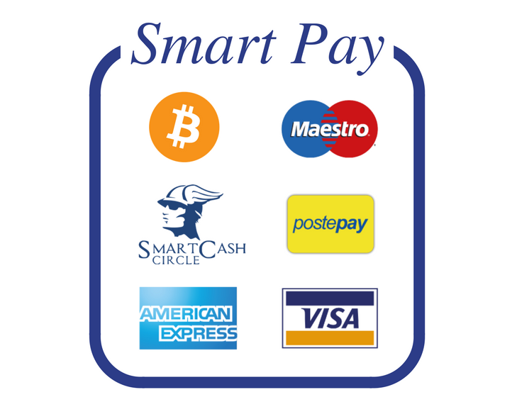 SmartPay q